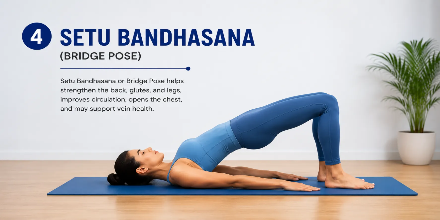 setu_bandhasana