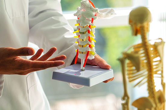 Musculoskeletal