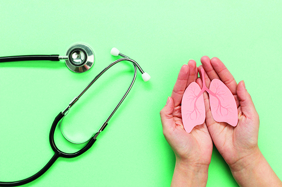 Respiratory System